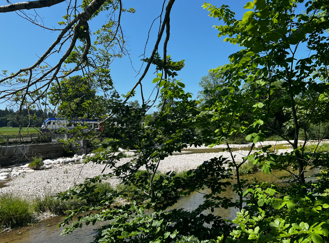 Willkommen am Ufer der Zeit